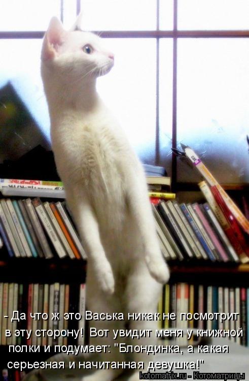 Котоматрица: - Да что ж это Васька никак не посмотрит  в эту сторону! Вот увидит меня у книжной  полки и подумает: "Блондинка, а какая серьезная и начитанна