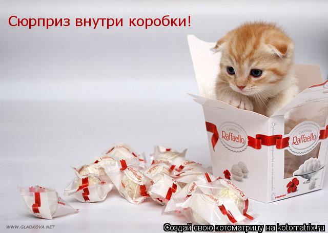 Сюрприз внутри коробки!... Котоматрица: Сюрприз внутри коробки!