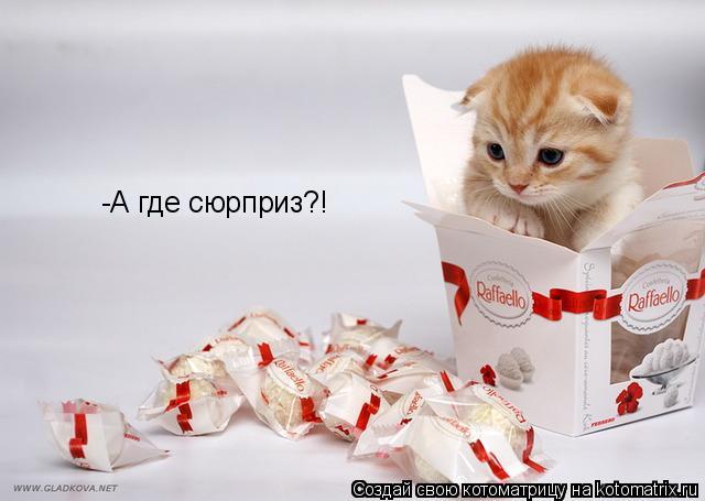 -А где сюрприз?!... Котоматрица: -А где сюрприз?!