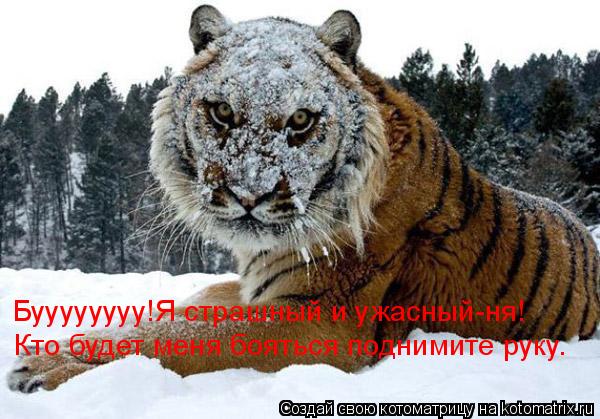Буууууууу!Я страшный и ужасный-ня! Буууууууу!Я страшный и ужасный-ня! Кто будет меня бояться поднимит... Котоматрица: Буууууууу!Я страшный и ужасный-ня! Буууууууу!Я страшный и ужасный-ня! Кто будет меня бояться поднимите руку.