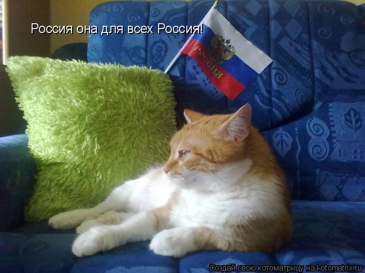 Россия она для всех Россия!... Котоматрица: Россия она для всех Россия!