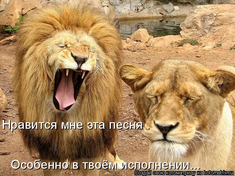 Нравится мне эта песня . Особенно в твоём исполнении...... Котоматрица: Нравится мне эта песня . Особенно в твоём исполнении...
