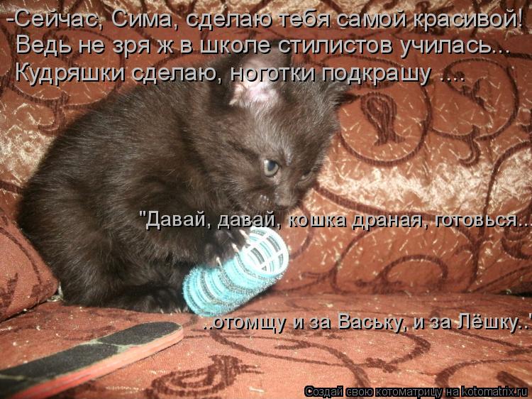 -Сейчас, Сима, сделаю тебя самой красивой! Ведь не зря ж в школе стилистов училась... Кудряшки сделаю... Котоматрица: -Сейчас, Сима, сделаю тебя самой красивой! Ведь не зря ж в школе стилистов училась... Кудряшки сделаю, ноготки подкрашу .... "Давай, давай, кошка