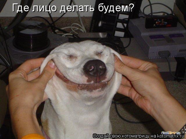Где лицо делать будем?... Котоматрица: Где лицо делать будем?