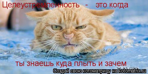 Целеустремленность - это когда ты знаешь куда плыть и зачем... Котоматрица: Целеустремленность - это когда ты знаешь куда плыть и зачем