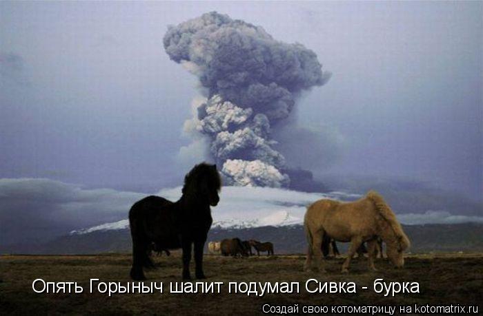 Опять Горыныч шалит подумал Сивка - бурка... Котоматрица: Опять Горыныч шалит подумал Сивка - бурка