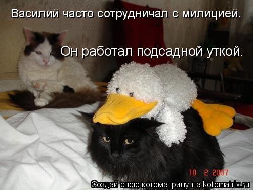 Василий часто сотрудничал с милицией. Он работал подсадной уткой.... Котоматрица: Василий часто сотрудничал с милицией. Он работал подсадной уткой.