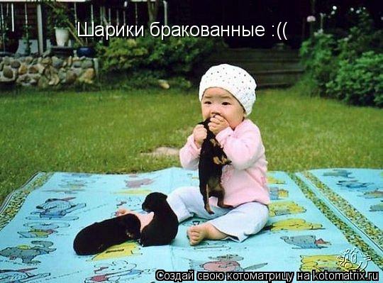 Шарики бракованные :((... Котоматрица: Шарики бракованные :((