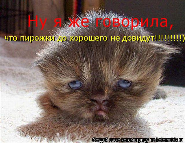 Ну я же говорила, что пирожки до хорошего не довидут!!!!!!!!!)... Котоматрица: Ну я же говорила, что пирожки до хорошего не довидут!!!!!!!!!)