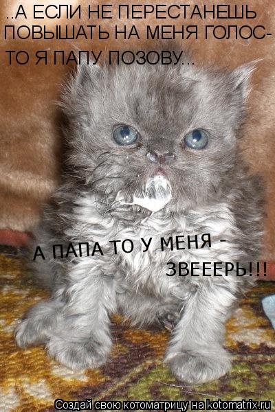 ..А ЕСЛИ НЕ ПЕРЕСТАНЕШЬ ПОВЫШАТЬ НА МЕНЯ ГОЛОС- ТО Я ПАПУ ПОЗОВУ... А ПАПА ТО У МЕНЯ - ЗВЕЕЕРЬ!!!... Котоматрица: ..А ЕСЛИ НЕ ПЕРЕСТАНЕШЬ ПОВЫШАТЬ НА МЕНЯ ГОЛОС- ТО Я ПАПУ ПОЗОВУ... А ПАПА ТО У МЕНЯ - ЗВЕЕЕРЬ!!!