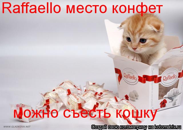 Raffaello место конфет можно съесть кошку... Котоматрица: Raffaello место конфет можно съесть кошку