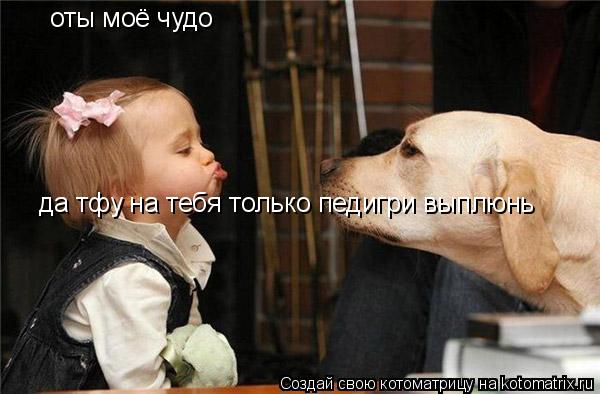 оты моё чудо да тфу на тебя только педигри выплюнь... Котоматрица: оты моё чудо да тфу на тебя только педигри выплюнь