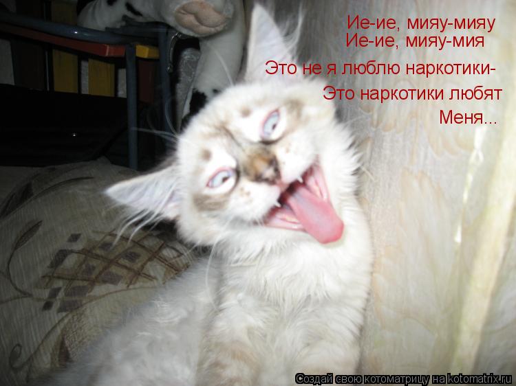 Ие-ие, мияу-мияу Это наркотики любят Меня... Это не я люблю наркотики- Ие-ие, мияу-мия... Котоматрица: Ие-ие, мияу-мияу Это наркотики любят Меня... Это не я люблю наркотики- Ие-ие, мияу-мия