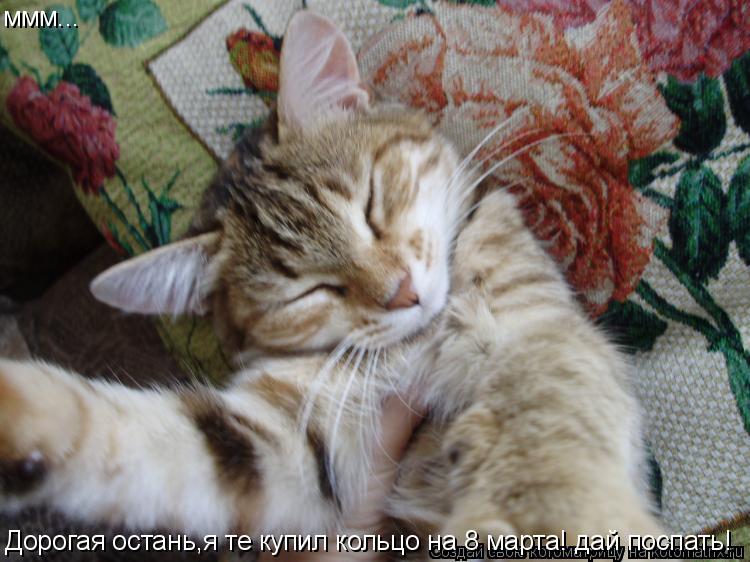 ммм... ммм...Дорогая остань,я те купил кольцо на 8 марта! ... Котоматрица: ммм... ммм...Дорогая остань,я те купил кольцо на 8 марта! дай поспать! Дорогая остань,я