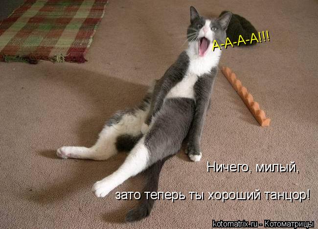 А-А-А-А!!! Ничего, милый, зато теперь ты хороший танцор!... Котоматрица: А-А-А-А!!! Ничего, милый, зато теперь ты хороший танцор!