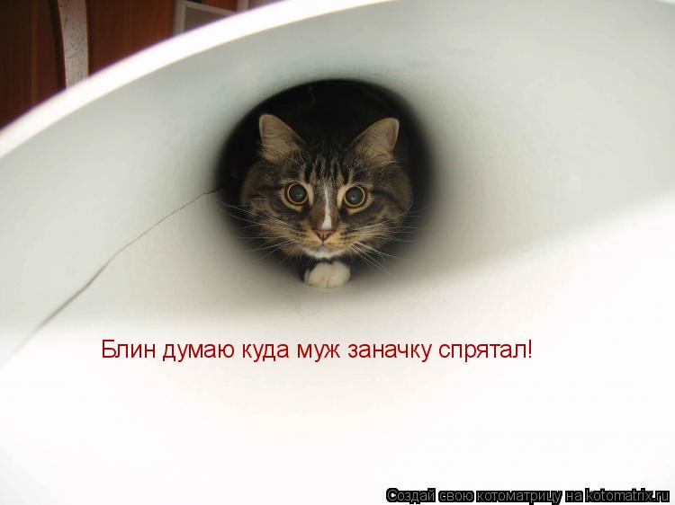 Блин думаю куда муж заначку спрятал!... Котоматрица: Блин думаю куда муж заначку спрятал!