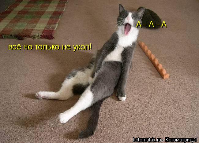 А - А - А всё но только не укол!... Котоматрица: А - А - А всё но только не укол!