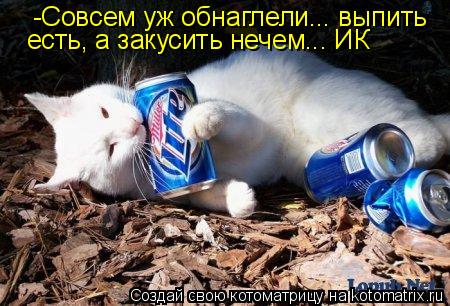 -Совсем уж обнаглели... выпить есть, а закусить нечем... ИК... Котоматрица: -Совсем уж обнаглели... выпить есть, а закусить нечем... ИК