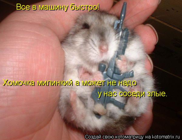 Котоматрица: Все в машину быстро! Хомочка милинкий а может не надо  Хомочка милинкий а может не надо  у нас соседи злые.