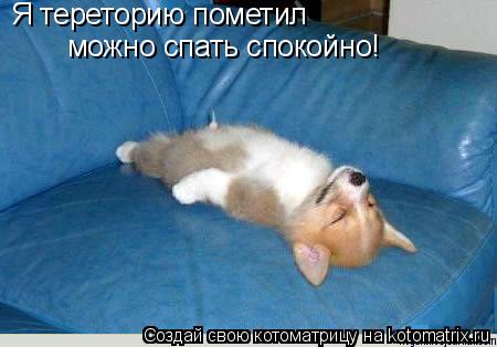 Я тереторию пометил можно спать спокойно!... Котоматрица: Я тереторию пометил можно спать спокойно!