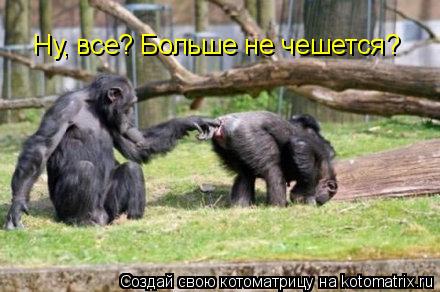 Ну, все? Больше не чешется?... Котоматрица: Ну, все? Больше не чешется?