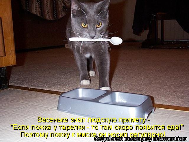 Васенька знал людскую примету - "Если ложка у тарелки - то там скоро появится еда!" Поэтому ложку к ... Котоматрица: Васенька знал людскую примету - "Если ложка у тарелки - то там скоро появится еда!" Поэтому ложку к миске он носил регулярно!