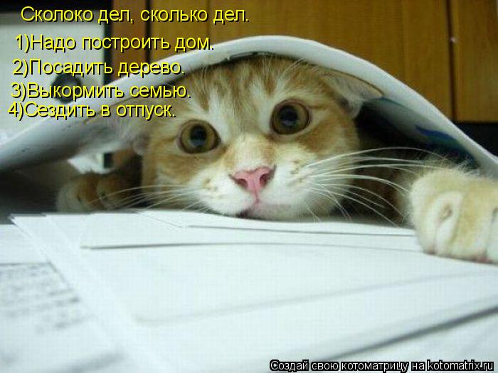 Сколоко дел, сколько дел. 1)Надо построить дом. 2)Посадить дерево. 3)Выкормить семью. 4)Сездить в отп... Котоматрица: Сколоко дел, сколько дел. 1)Надо построить дом. 2)Посадить дерево. 3)Выкормить семью. 4)Сездить в отпуск.