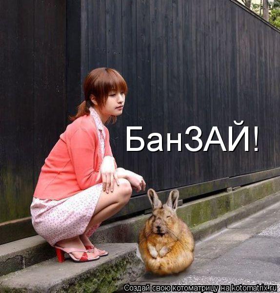 БанЗАЙ!... Котоматрица: БанЗАЙ!