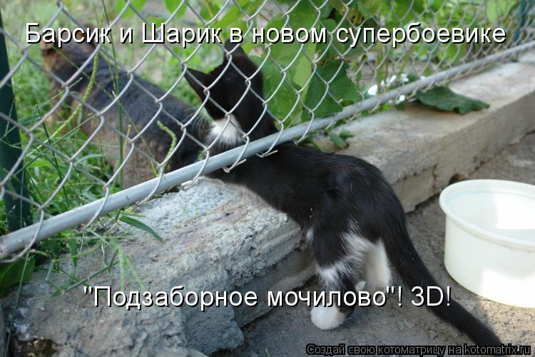 Барсик и Шарик в новом супербоевике Барсик и Шарик в новом супербоевике "Подзаборное мочилово"! 3D!... Котоматрица: Барсик и Шарик в новом супербоевике Барсик и Шарик в новом супербоевике "Подзаборное мочилово"! 3D!
