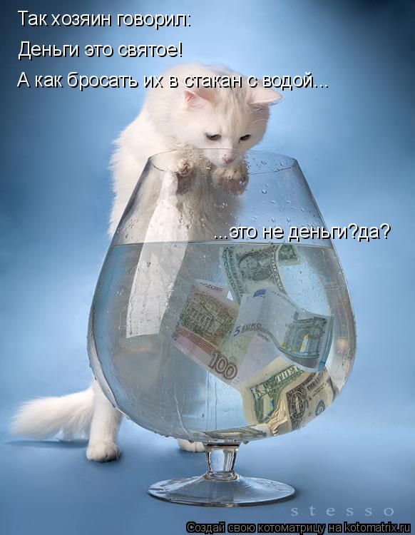 Так хозяин говорил: Деньги это святое! А как бросать их в стакан с водой... ...это не деньги?да?... Котоматрица: Так хозяин говорил: Деньги это святое! А как бросать их в стакан с водой... ...это не деньги?да?
