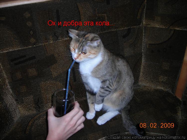 Ох и добра эта кола...... Котоматрица: Ох и добра эта кола...