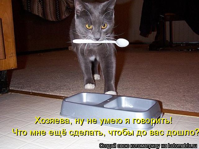 Котоматрица: Хозяева, ну не умею я говорить!  Что мне ещё сделать, чтобы до вас дошло?
