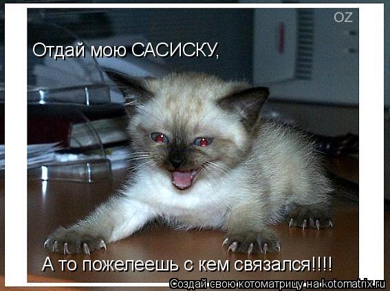 Отдай мою САСИСКУ, А то пожелеешь с кем связался!!!!... Котоматрица: Отдай мою САСИСКУ, А то пожелеешь с кем связался!!!!