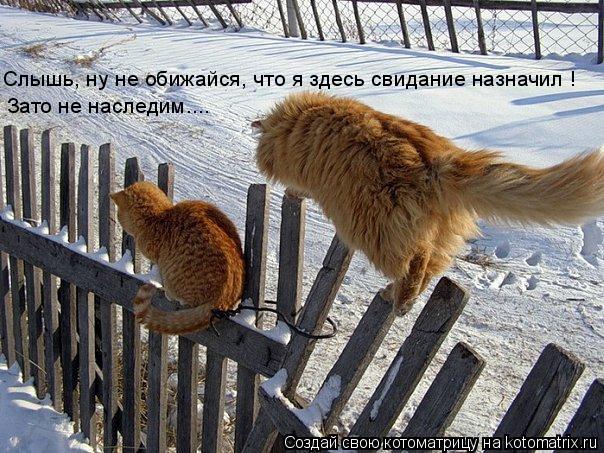 Зато не наследим.... Слышь, ну не обижайся, что я здесь свидание назначил !... Котоматрица: Зато не наследим.... Слышь, ну не обижайся, что я здесь свидание назначил !