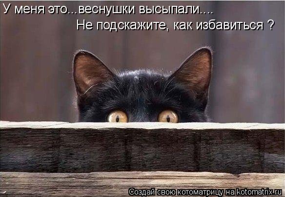 У меня это...веснушки высыпали.... Не подскажите, как избавиться ?... Котоматрица: У меня это...веснушки высыпали.... Не подскажите, как избавиться ?