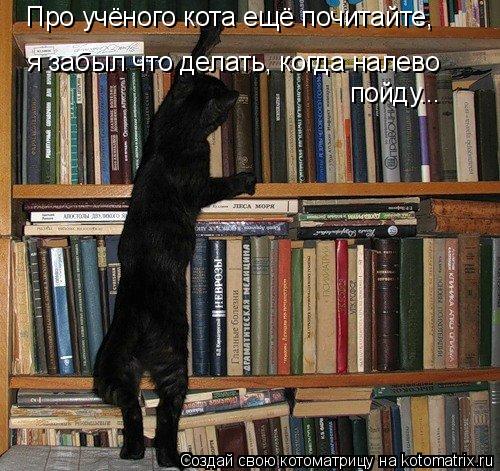 Про учёного кота ещё почитайте, я забыл что делать, когда налево пойду...... Котоматрица: Про учёного кота ещё почитайте, я забыл что делать, когда налево пойду...