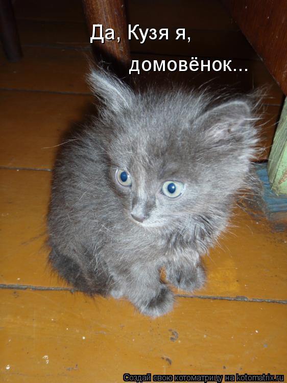 Да, Кузя я, домовёнок...... Котоматрица: Да, Кузя я, домовёнок...