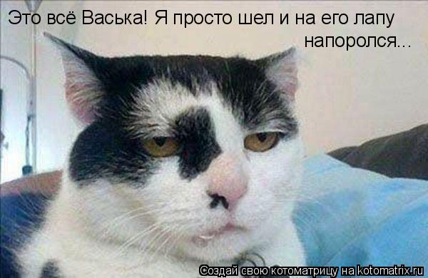 Это всё Васька! Я просто шел и на его лапу напоролся...... Котоматрица: Это всё Васька! Я просто шел и на его лапу напоролся...