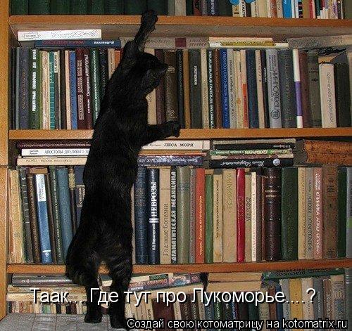 Таак... Где тут про Лукоморье....?... Котоматрица: Таак... Где тут про Лукоморье....?