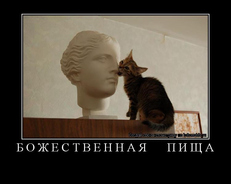 Божественная пища ... Котоматрица: Божественная пища