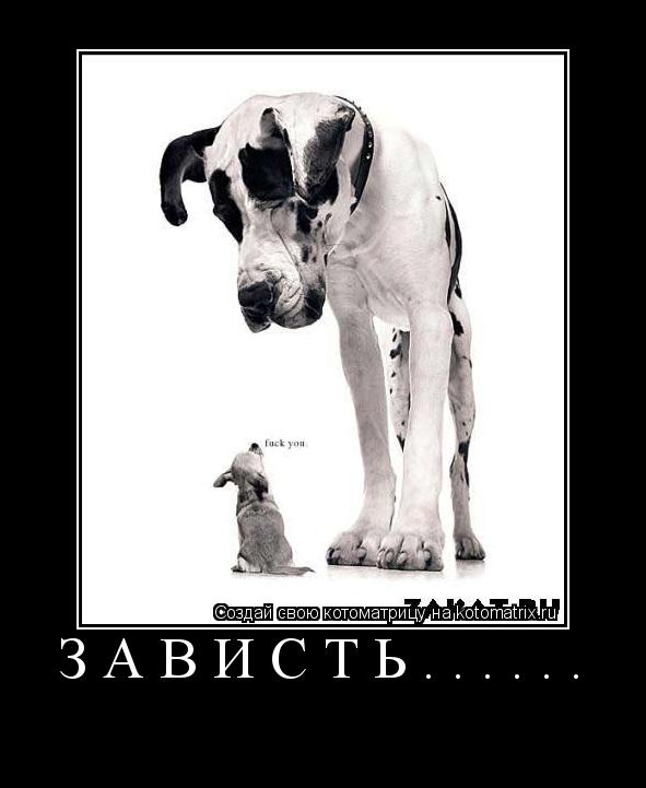 зависть...... ... Котоматрица: зависть......