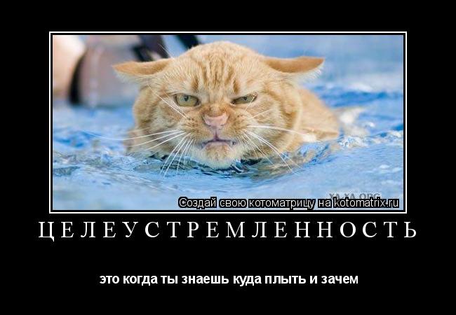Целеустремленность это когда ты знаешь куда плыть и зачем... Котоматрица: Целеустремленность это когда ты знаешь куда плыть и зачем