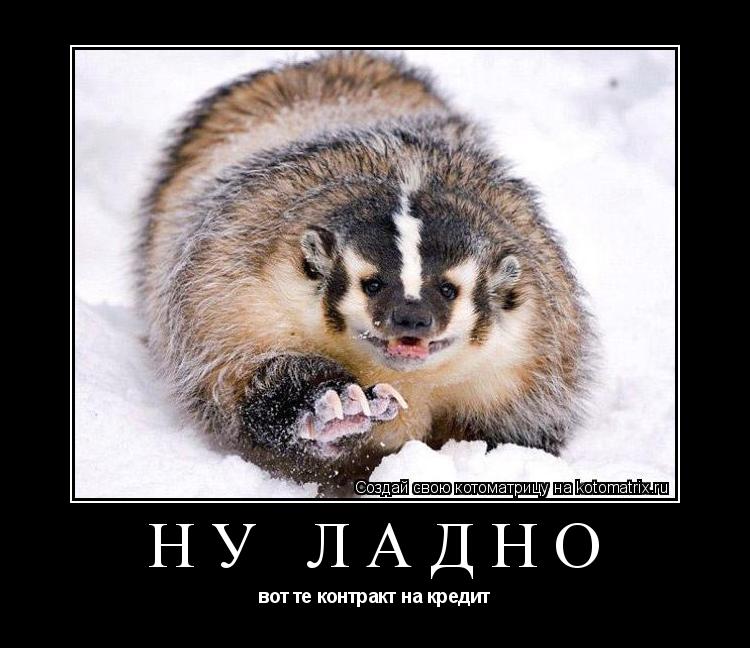 Ну ладно вот те контракт на кредит... Котоматрица: Ну ладно вот те контракт на кредит