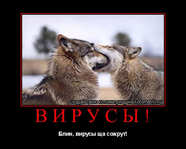 Вирусы! Блин, вирусы ща сожрут!... Котоматрица: Вирусы! Блин, вирусы ща сожрут!