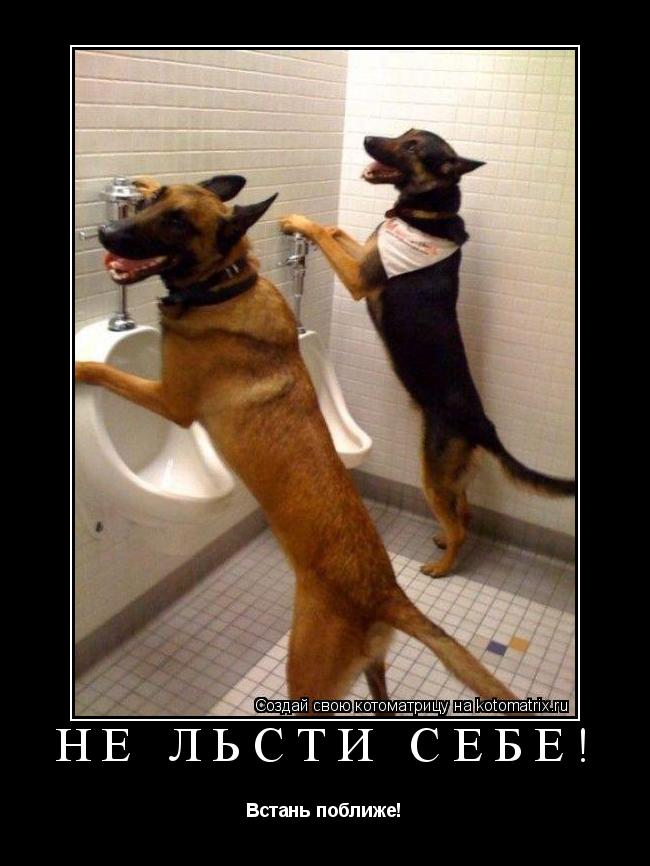 Не льсти себе! Встань поближе!... Котоматрица: Не льсти себе! Встань поближе!