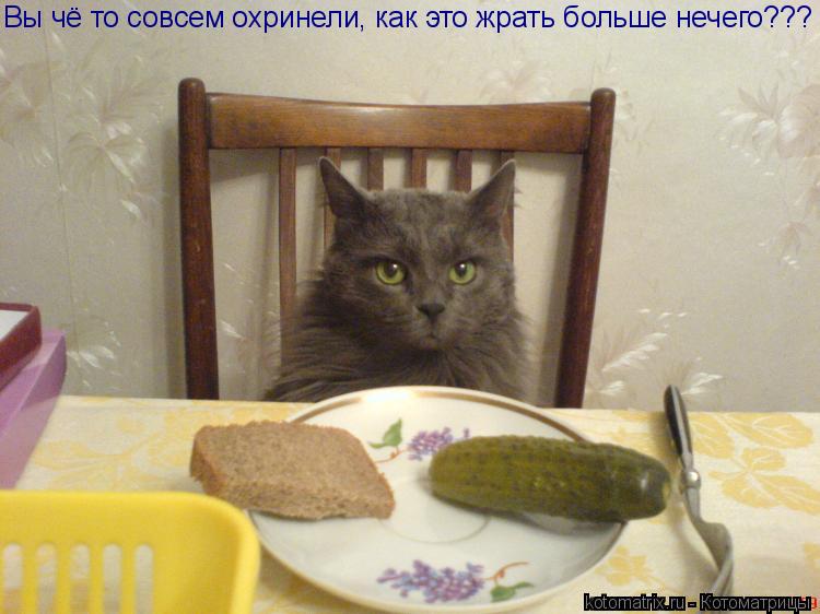 Вы чё то совсем охринели, как это жрать больше нечего???... Котоматрица: Вы чё то совсем охринели, как это жрать больше нечего???