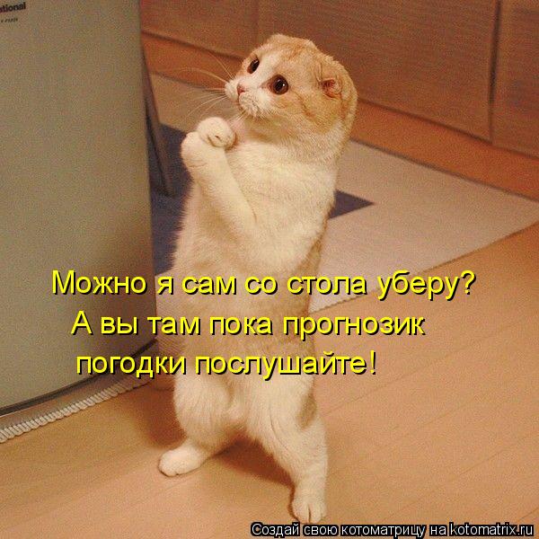 Котоматрица: Можно я сам со стола уберу? А вы там пока прогнозик погодки послушайте!