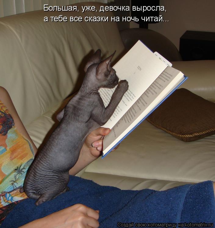 Котоматрица: Большая, уже, девочка выросла,  а тебе все сказки на ночь читай...