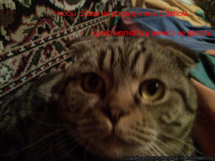 Чтобы слова не расходились с делом, нужно молчать и ничего не делать.... Котоматрица: Чтобы слова не расходились с делом, нужно молчать и ничего не делать.