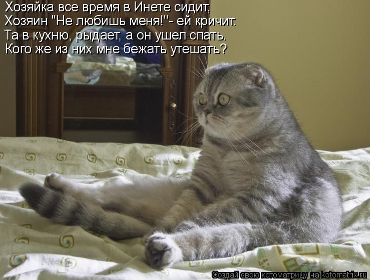Котоматрица: Хозяйка все время в Инете сидит, Хозяин "Не любишь меня!"- ей кричит. Та в кухню, рыдает, а он ушел спать. Кого же из них мне бежать утешать?